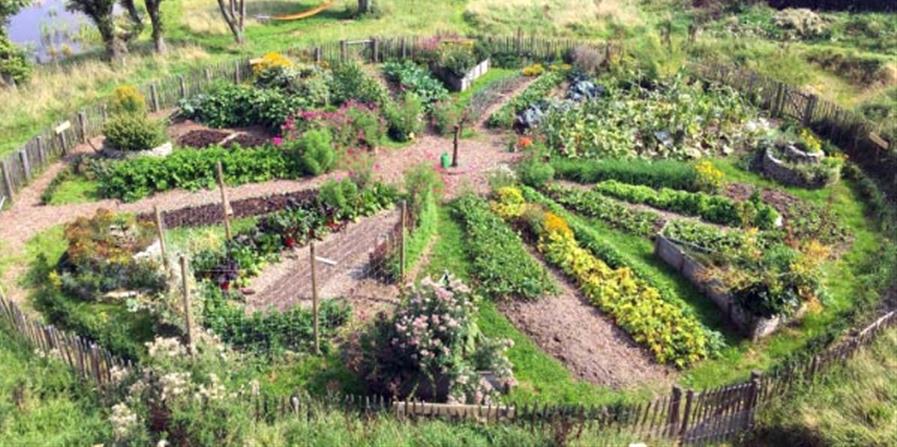 C&rsquo;est quoi un potager en permaculture ?
